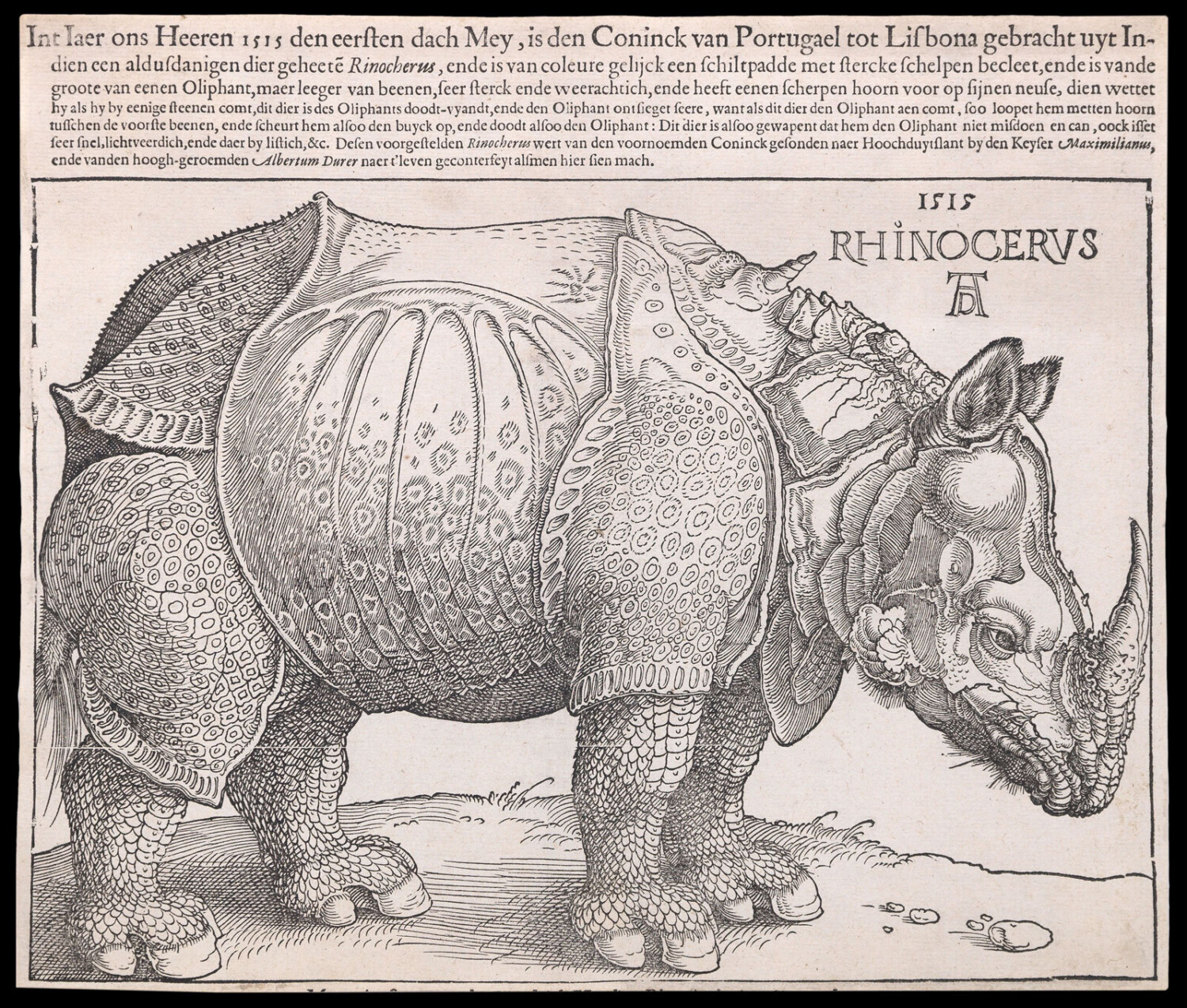 Rhinocervs - Daniel Crouch Rare Books - Antique and vintage maps, rare books, charts and atlases
